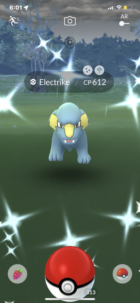 Qshinys's tweet photo. The first day of #FestivalofLights event I finally secured my first ever shiny #Electrike this was the latest & most important shiny to get thus far, Bc of the mega that’s out & I didn’t have it yet in the #MegaDex #ShinyPokemon #ShinyHunter #RareShiny https://t.co/xhiygN6gfg