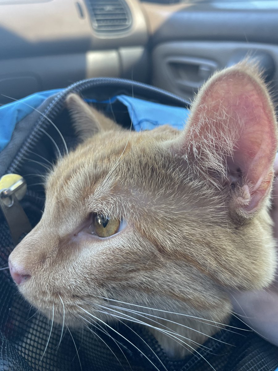 YtZadey's tweet photo. road trip https://t.co/GqWEpF5IeN