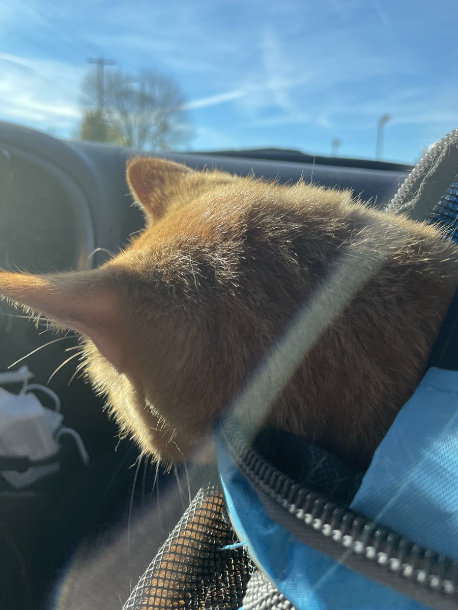 YtZadey's tweet photo. road trip https://t.co/GqWEpF5IeN