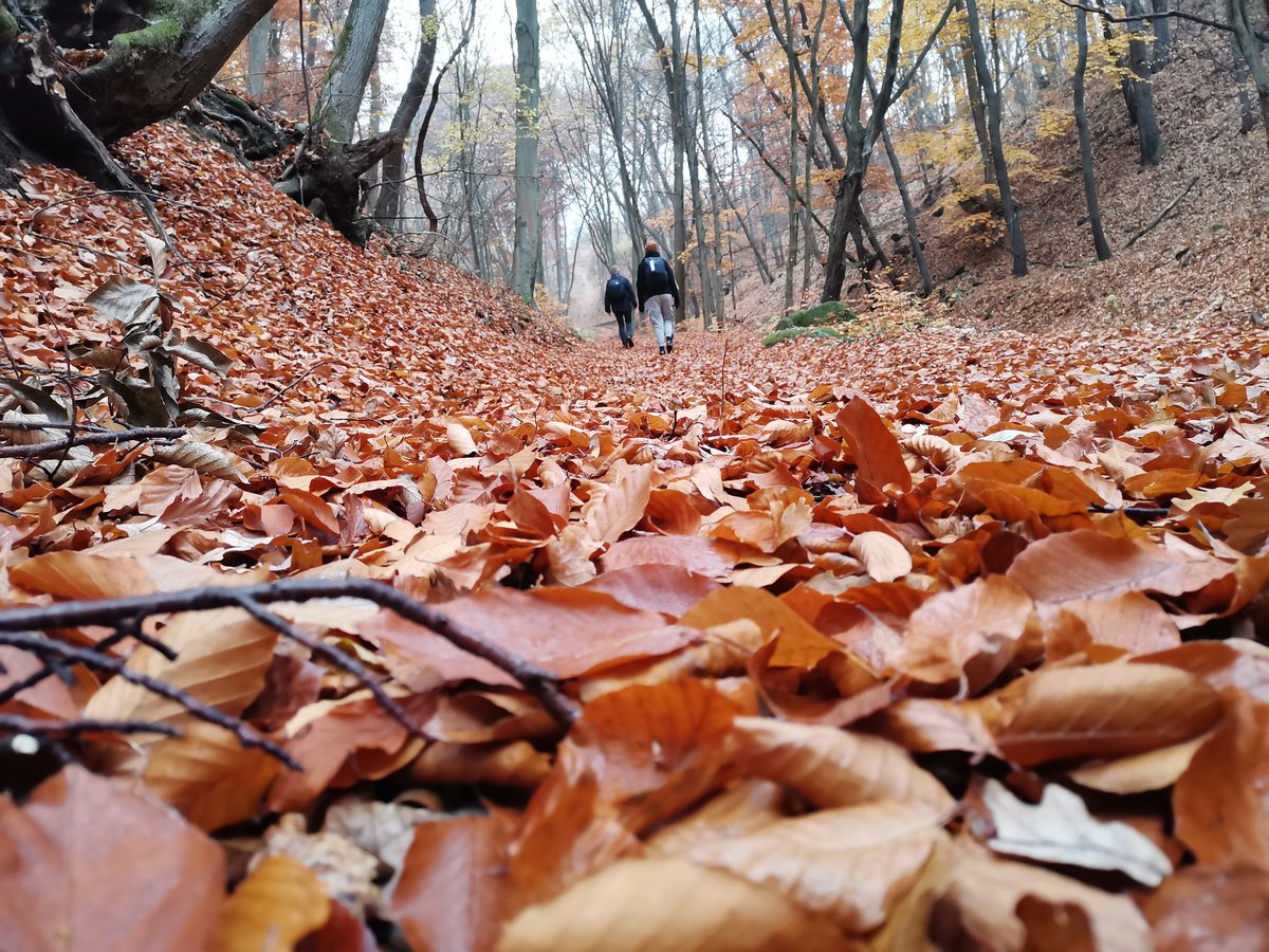 A wonderful hiking trip in late autumn.