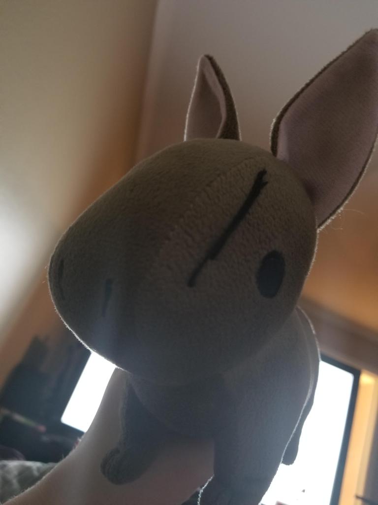 TheSlimePlaza's tweet photo. @Dragon_Age_Fans His name is Nibbles https://t.co/8Em1yXM7yU