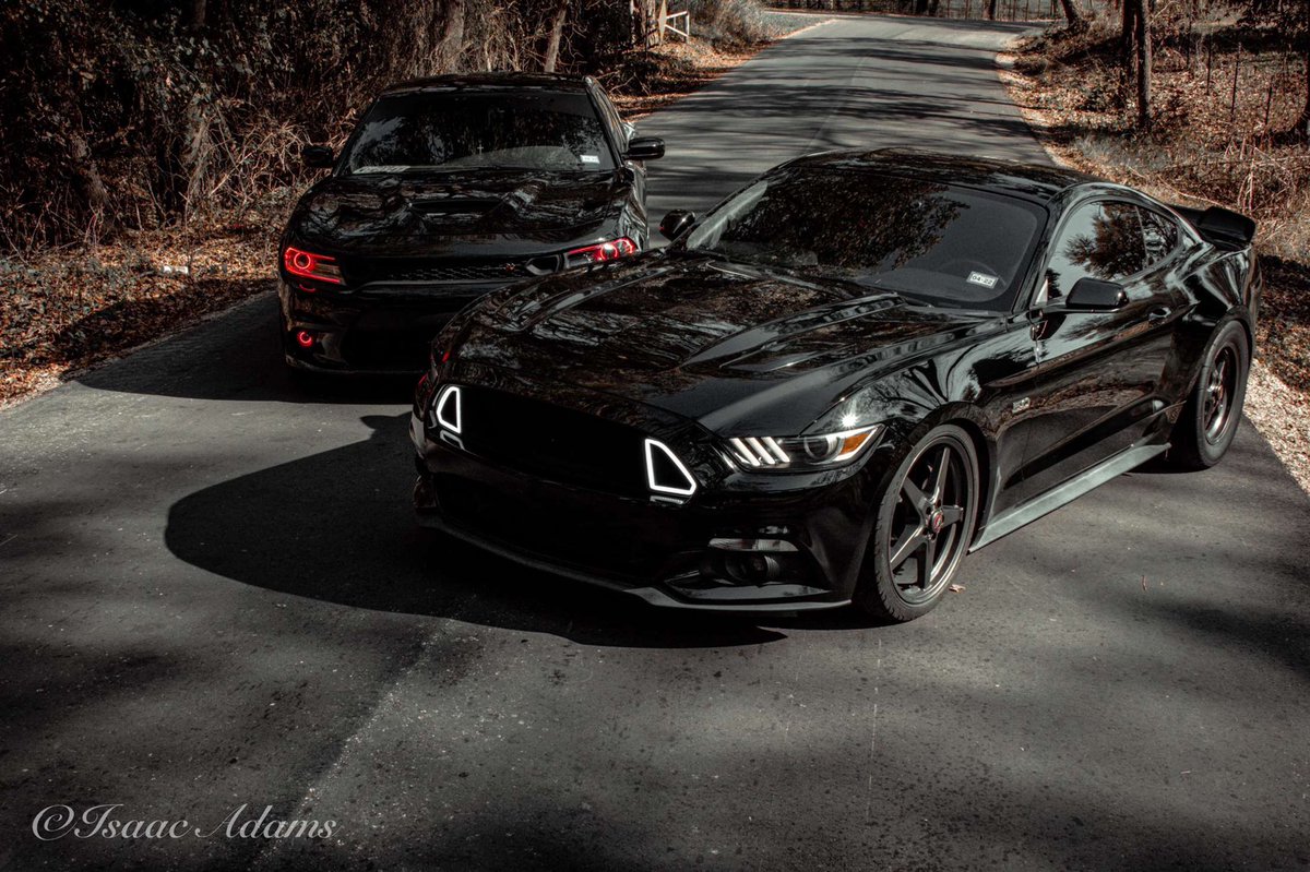 RealC2Charles's tweet photo. Official, the difference between me and niggas🐎🏎 https://t.co/A9Nj36UCdm
