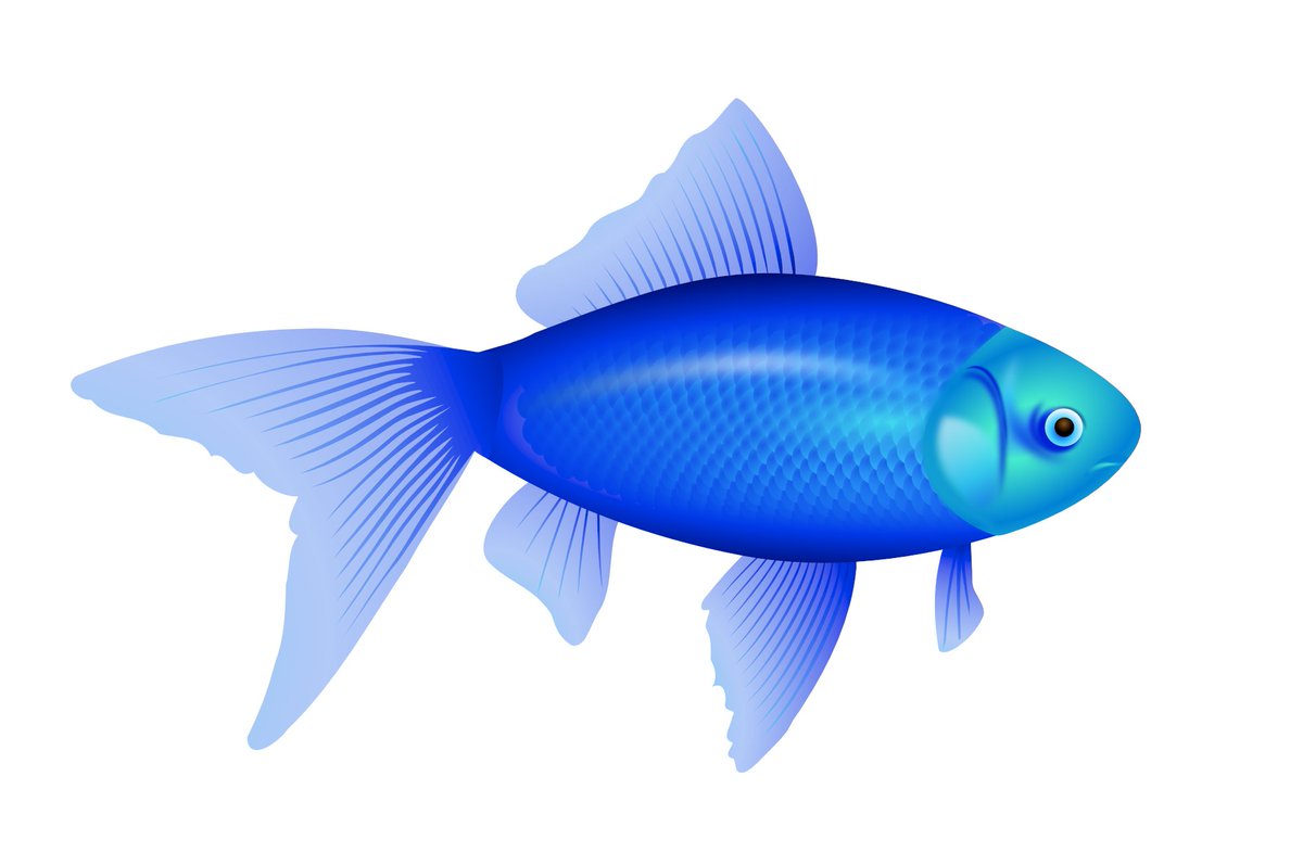 hourly_fish's tweet photo. https://t.co/KGlYEL6sCx