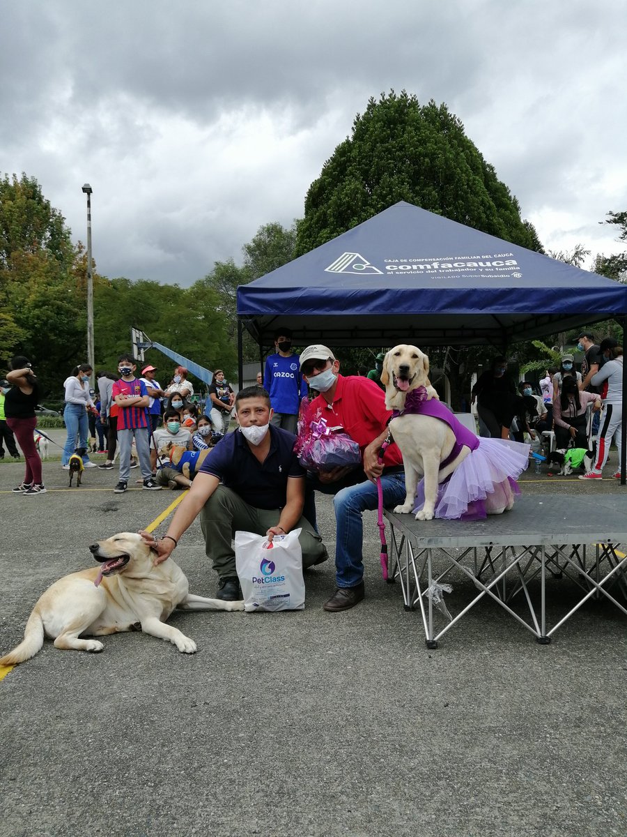 elpoderoso143's tweet photo. Mi niña Violeta 🐕🦺 obtuvo el 2o lugar en obediencia de la feria canina anual de @comfacauca
🐕🦺🐾❤️👏🏆🏅
#Popayan #Comfacauca https://t.co/LTERfUio4X