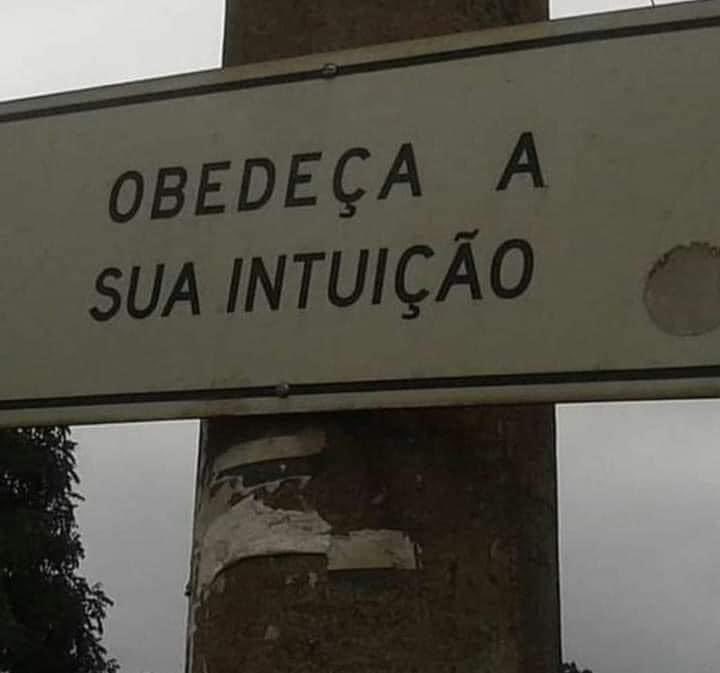 marziu_'s tweet photo. ela nunca erra https://t.co/g7YGQLlxtR