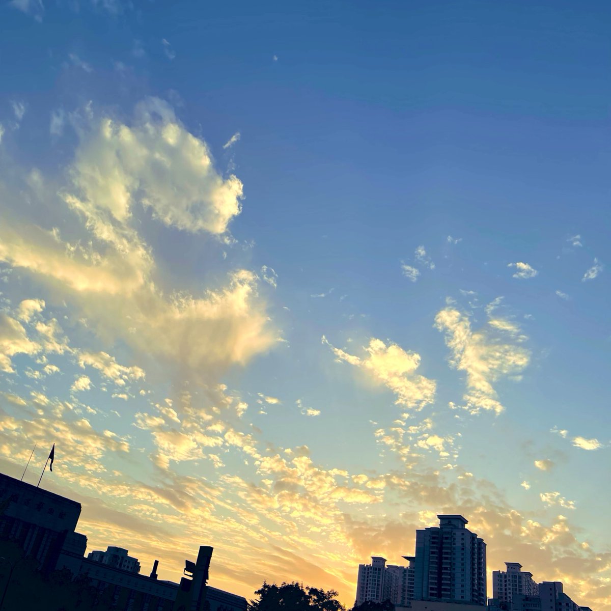 Harry___z's tweet image. 等能摘下口罩
我一定跑着去见你.