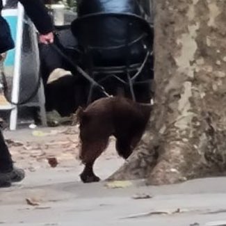 bobbyhiddles's tweet image. 