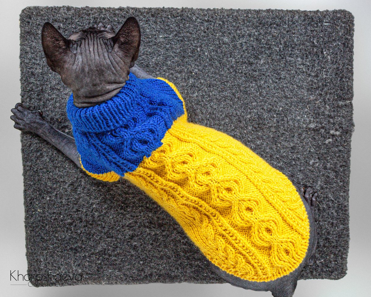 ClothesForCat's tweet photo. Excited to share the latest addition to my #etsy shop: Sphynx Sunny Cozy Jumper Size L knitting pattern PDF, Cat Soft Pullover With Arans, + The pattern supplement https://t.co/MT6GWLlJwP #birthday #hanukkah #knitting #catclothespattern #sphynxcatclothes #catcozyjumper https://t.co/epiDdZhkGa