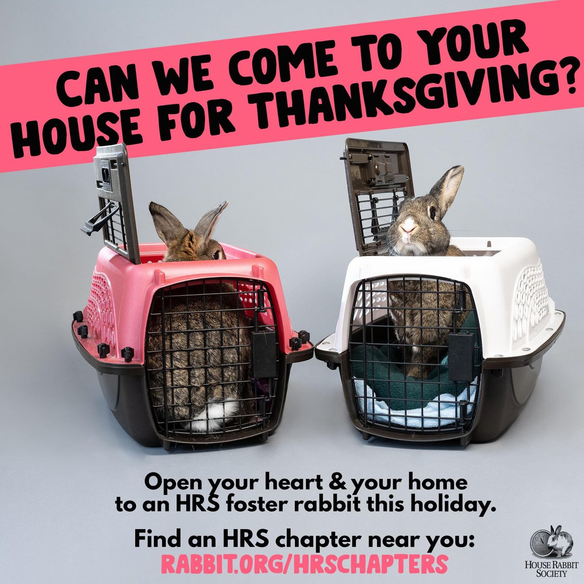 HouseRabbit's tweet photo. Staying home for the Thanksgiving holiday? 🦃 Open your heart &amp; home to a foster rabbit from a House Rabbit Society chapter! Find your local HRS chapter: https://t.co/L3NhE98vO5 

If you're in the SF Bay Area, learn more about fostering with HRS HQ: https://t.co/oFuITyNnJW

💖🐇 https://t.co/yCwDNKc4vh
