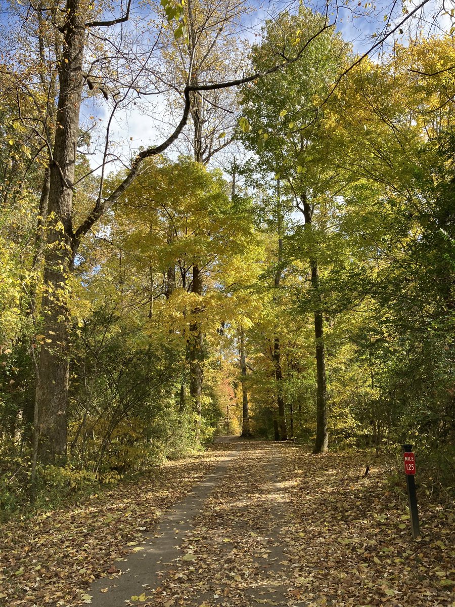 Fall weekend runs are the best when this is the view 🍁 #WolfRiverGreenway #GermantownGreenway