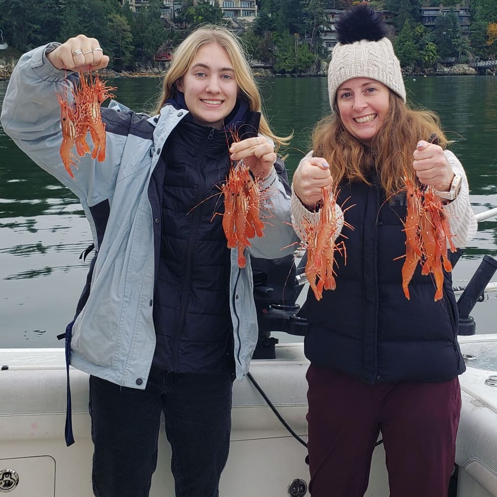 Salmon Charters tweet media