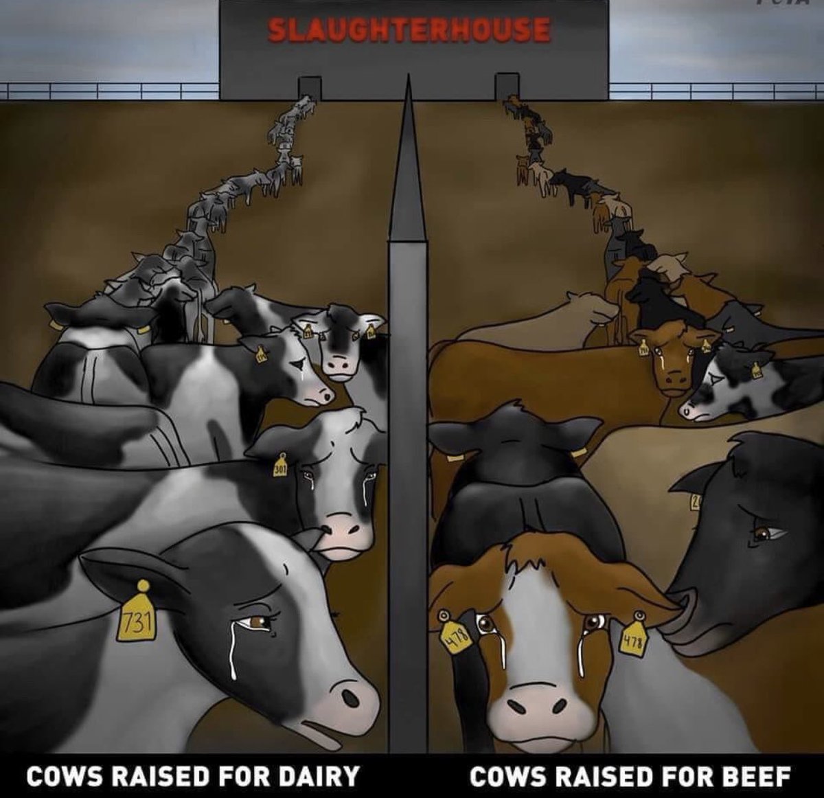 Herbiⓥore tweet media