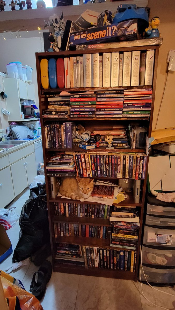 StephensTrek's tweet photo. My cat investigating my #StarTrek shelf
#CatsOfTwitter #CatTrek https://t.co/5pUsZ7sMlt
