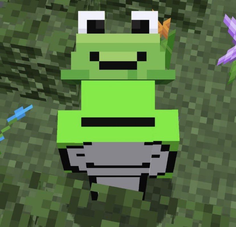 quackussyy's tweet photo. an inspiration not only to me, but to millions of people. we appreciate and love you more than you'll ever know, dream :) #dreampos 💚 https://t.co/7WdIMvpKEH