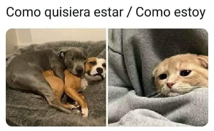 Anaro74's tweet photo. ¡Tengo frío! https://t.co/bqH3CsAXeA