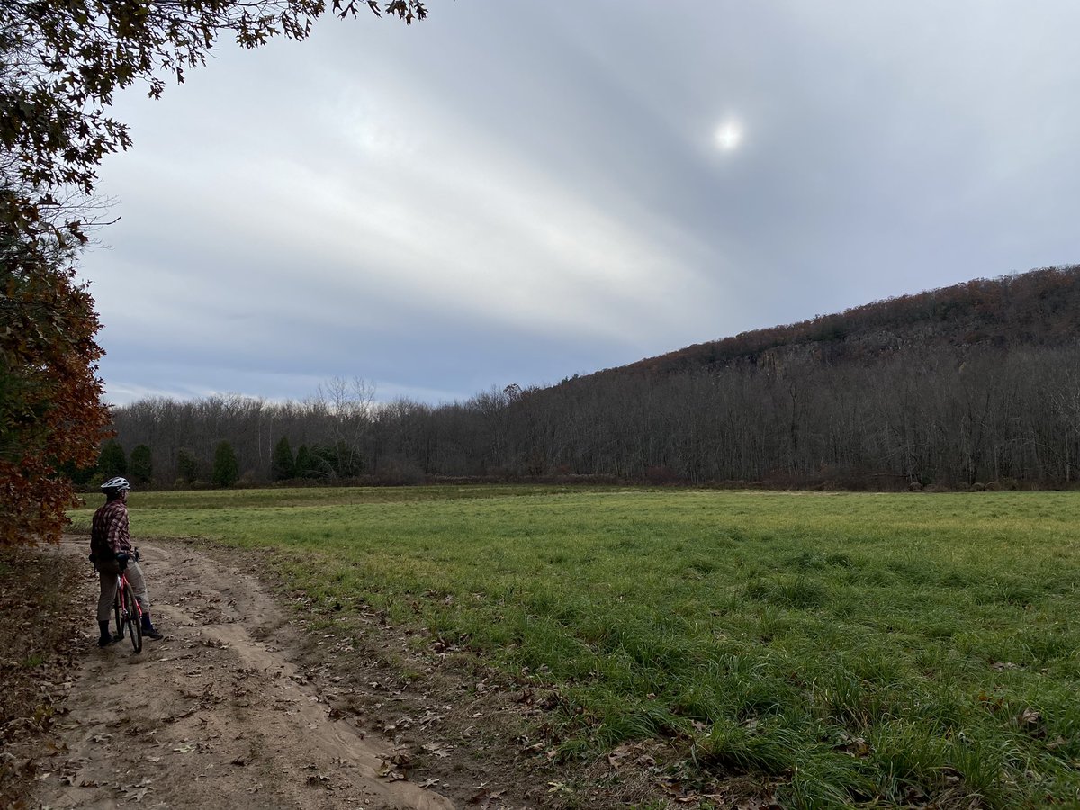 My phone turned the sun into a +.