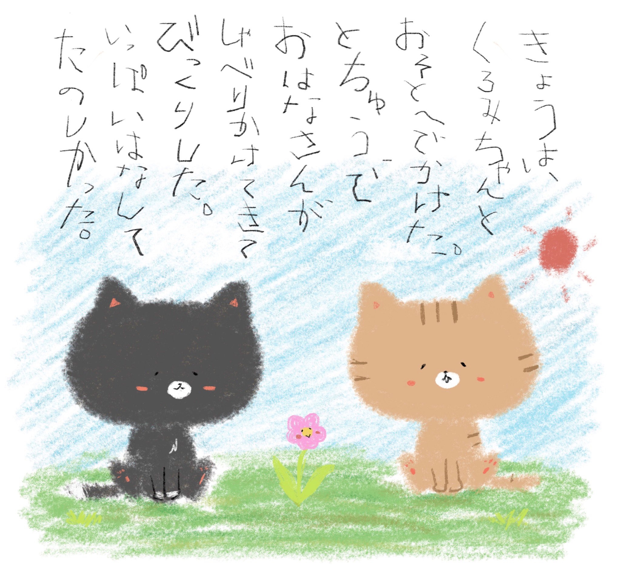 とらねここ Toranekoko1 Twitter