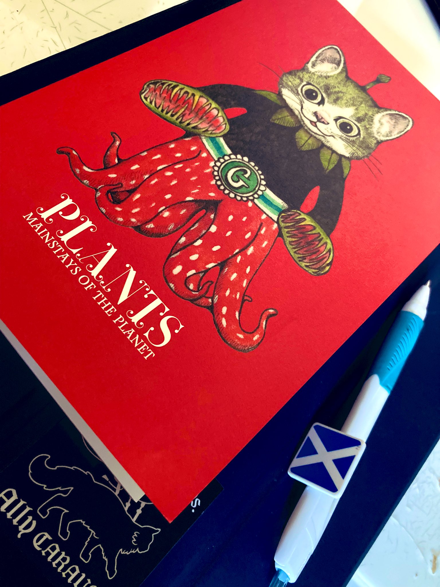 Bagpiper Ally やっぱり何か考える時はペンとメモの方が創造力が増しますね 来月はally Caravanの鳥3部作が生まれた地の一つ 諏訪湖近くでのライブです いつもavian Navigationで浮かぶのは ここに飛来してくる白鳥達の飛ぶ姿 今年も