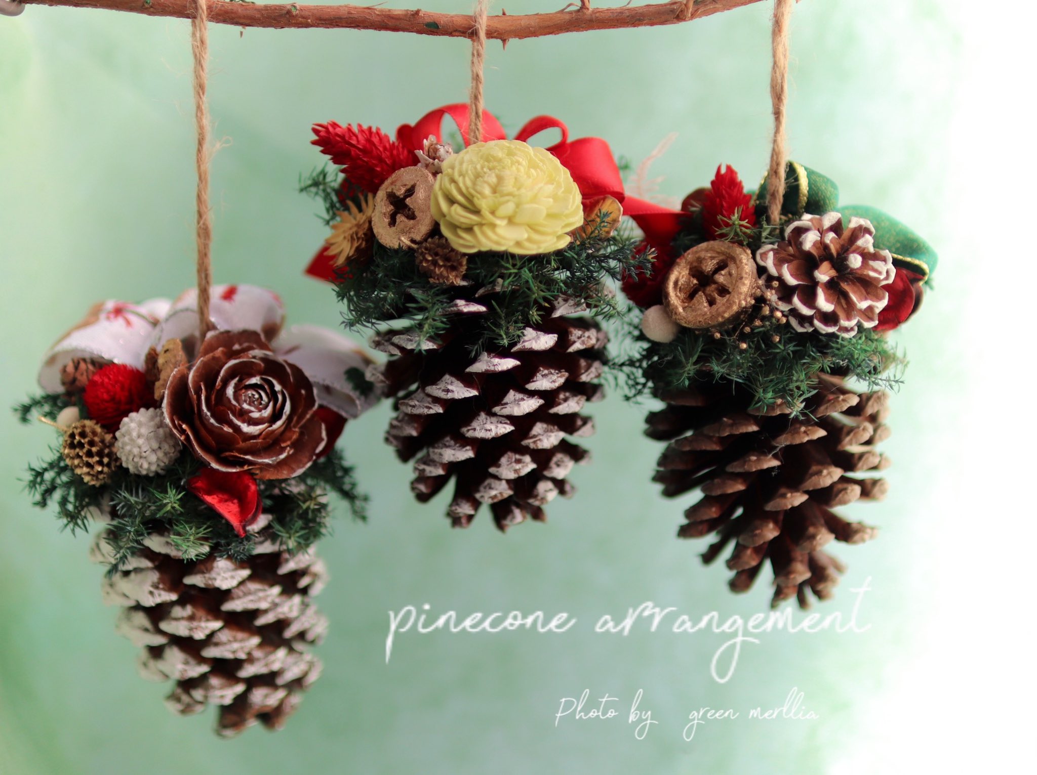 大きな松ぼっくり Twitter Search Twitter