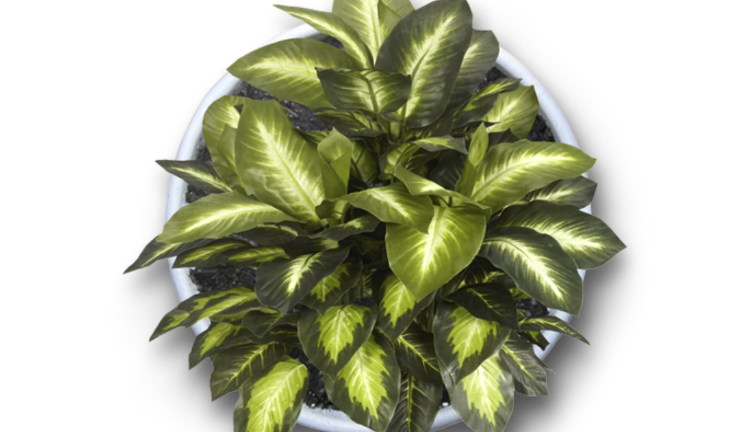 ZRichRealtor's tweet image. 5 Ways to Connect Your Home to the Outdoors ace.rismedia.com/ace2-branded/r…