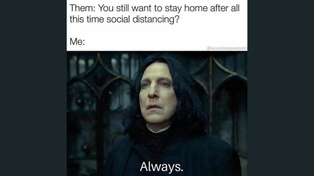 ccannonauthor's tweet photo. #introvert #authorissues #WritingCommunity #readerscommunity #funny #humor #lol https://t.co/OI9SfVoejM