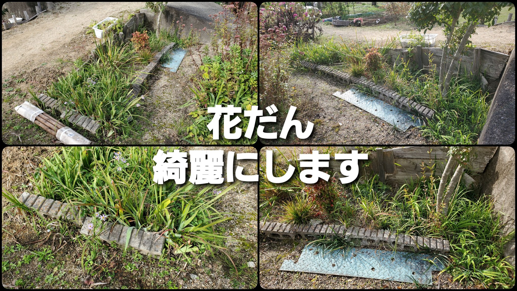 つりきっぷのガーデニング奮闘日記 花壇を再生します 枠をブロックから木に変更 雑草や花を全て抜く 買い物カゴでふるいにかける 自作の再生土を混ぜる で何を植えようか 春まで待つかな Youtube つりきっぷ Turikipp 芝生