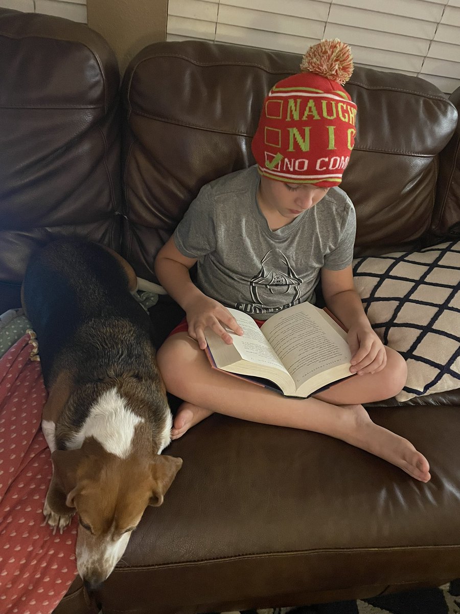 Katie Santorii tweet media