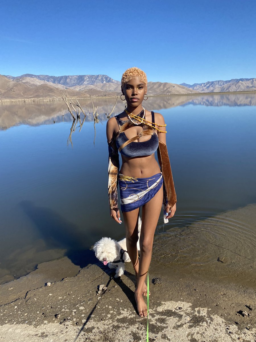 diamondwhite's tweet photo. Prolly stepped in a disease https://t.co/4iRRmnyslg