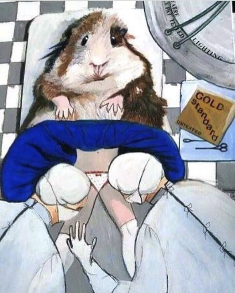 MeshCampaign's tweet photo. Women were guinea pigs in the #mesh implant scandal. Sadly, they’re also guinea pigs for mesh removal. There’s no formal training or joined up thinking across the 7 NHS Mesh Specialist Centres &amp; some women, who’re told they’re getting full mesh removals are only given partials https://t.co/aQLwgXVsVG