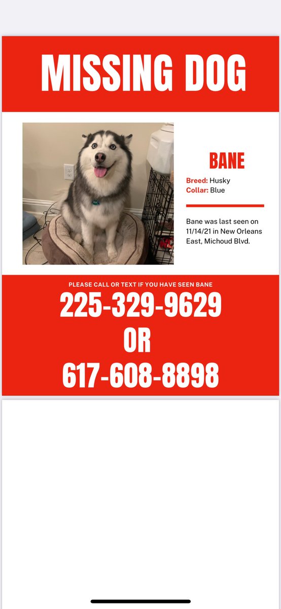 jphamo's tweet photo. If anyone seen or has any information on Bane, please message me or contact me 6176088898. He is more than just a dog to me. Please help spread the word by sharing this post. https://t.co/fS6o5aRZZp