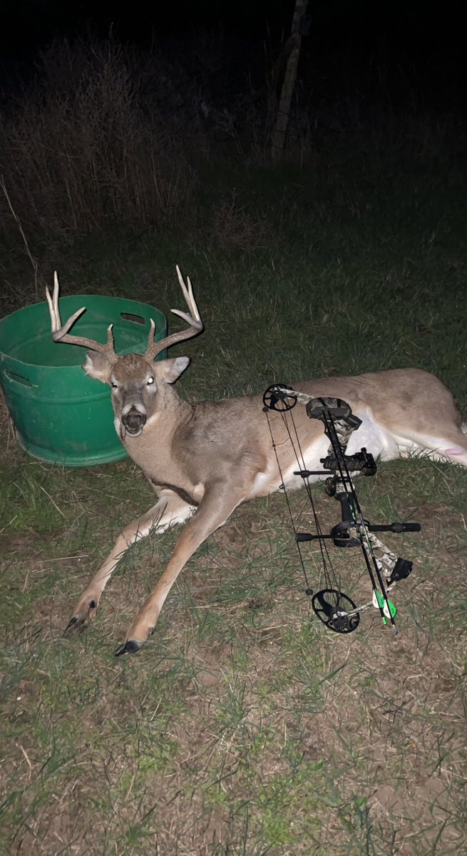 levistein6's tweet photo. No more more falling asleep in the stand on those early mornings this year! https://t.co/GpN175dk4S