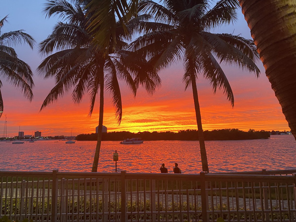 Renata Grozovsky tweet media