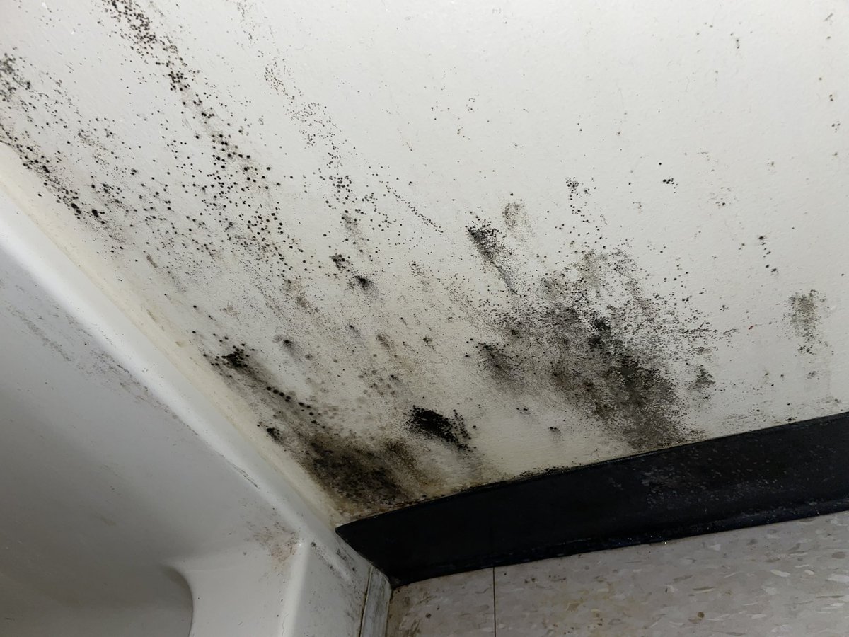 Jordan L tweet media