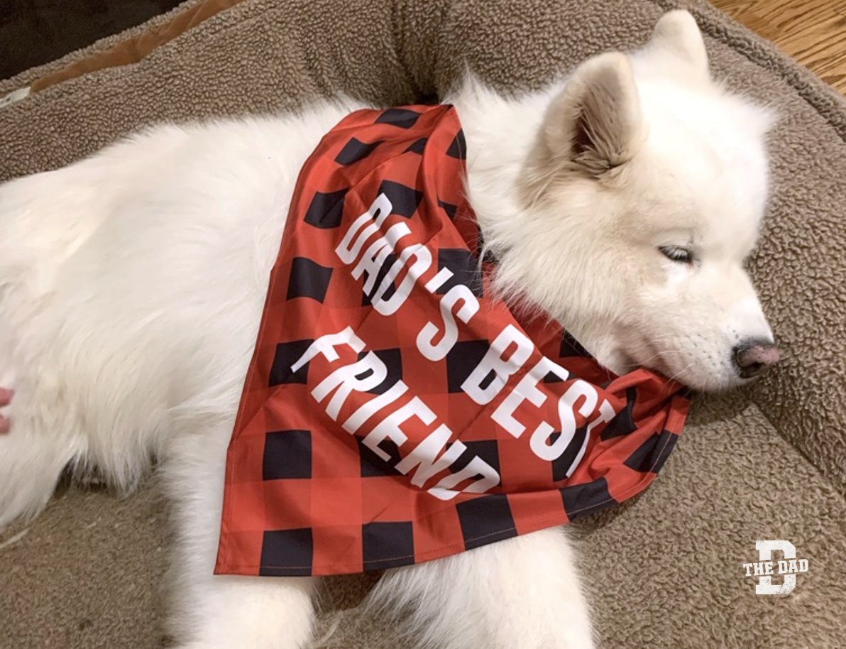 One day your kids will refuse to nap with you, but your best friend will be ready.