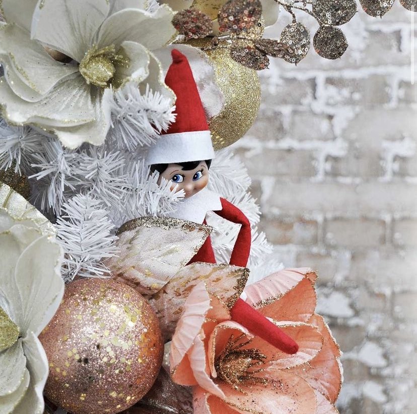 What’s your <a href="/elfontheshelf/">elfontheshelf</a> been up to leading into #Christmastime?

Post your photos &amp; tag us in all the mischievous adventures of your Elf! Or get your own Elf here; Christmaselves.com.au/elf-on-the-she… 🎄 

#Christmas_Elves_ #Christmas2021