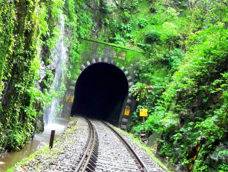 HomestayNesara's tweet photo. Green zone trekking spot through Sakleshpur railway  tunnel..

Nesara Homestay
Devaladakere, Japavathy
Hanbal(H), Sakaleshpura
P: +91-9972111644
https://t.co/NsO4nL4PGs

#sakleshpura
#Homestay
#Nesarahomestay
#Homestayinsakleshpura #trekking #railway #greenzone https://t.co/oHo3Be5FgK