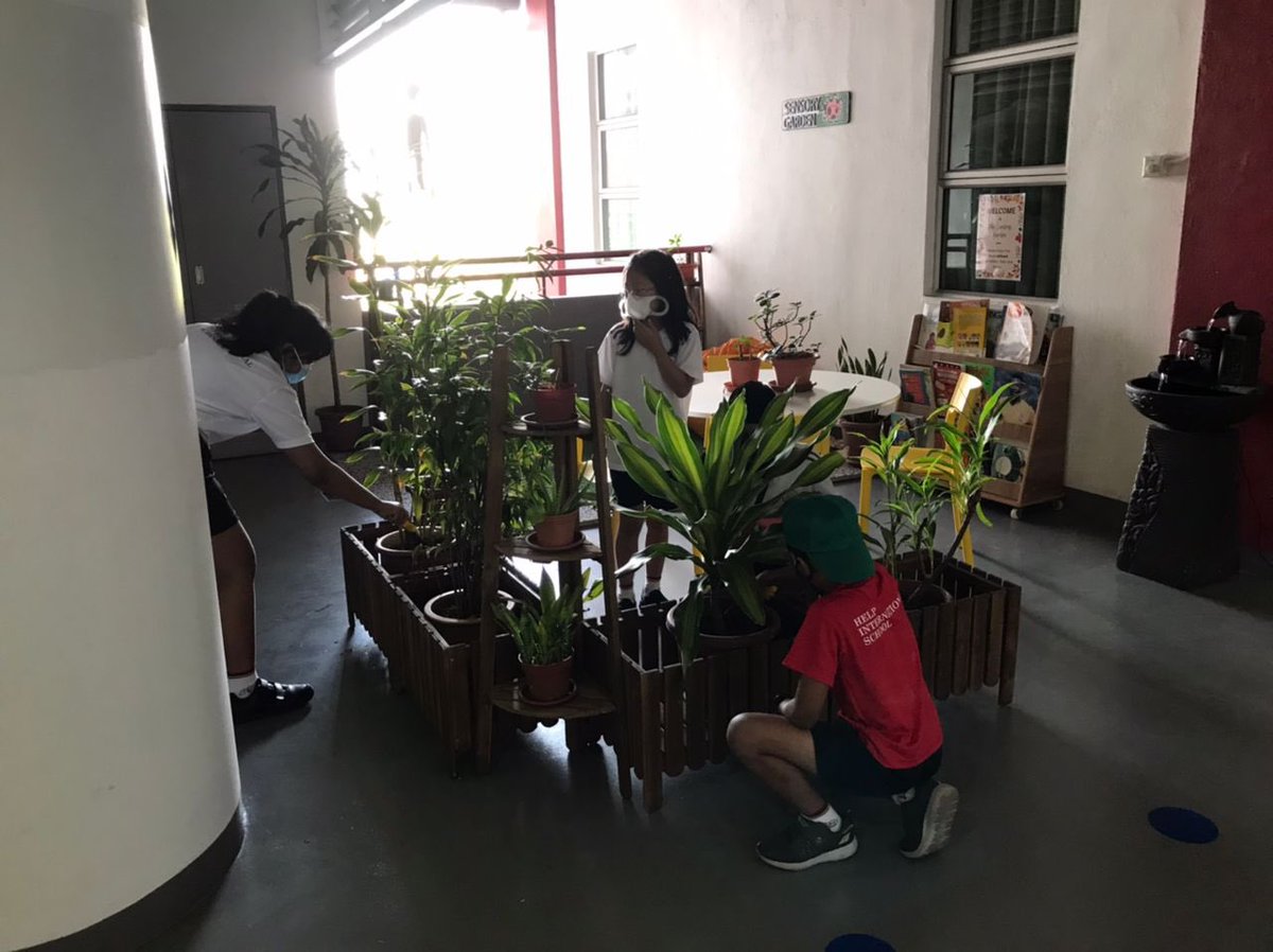 Check out our little Sensory Garden Crew, making sure our plants are happy during their break time! <a href="/HISYear6/">HISYear6</a> <a href="/HELPISKL/">HELP International School</a>