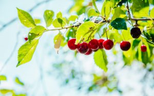 MeNutroo's tweet photo. Why Is The ...
https://t.co/dhWU9GuLA9
Th ...
#BackyardGardenIdeas #BackyardGardening #BackyardOrchard #BestGardenSoil #GardenLandscaping https://t.co/DhUVlG8BUs
