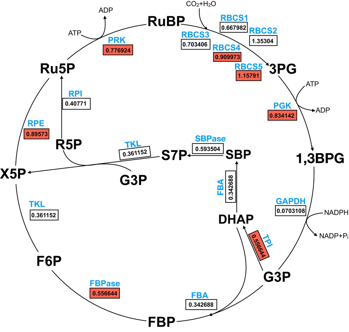 New Phytologist (@newphyt) on Twitter photo The α subunit of the heterotrimeric G protein regulates mesophyll CO2 conductance and drought tolerance in rice nph.onlinelibrary.wiley.com/doi/10.1111/np… The α subunit of the heterotrimeric G protein regulates mesophyll CO2 conductance and drought tolerance in rice nph.onlinelibrary.wiley.com/doi/10.1111/np…