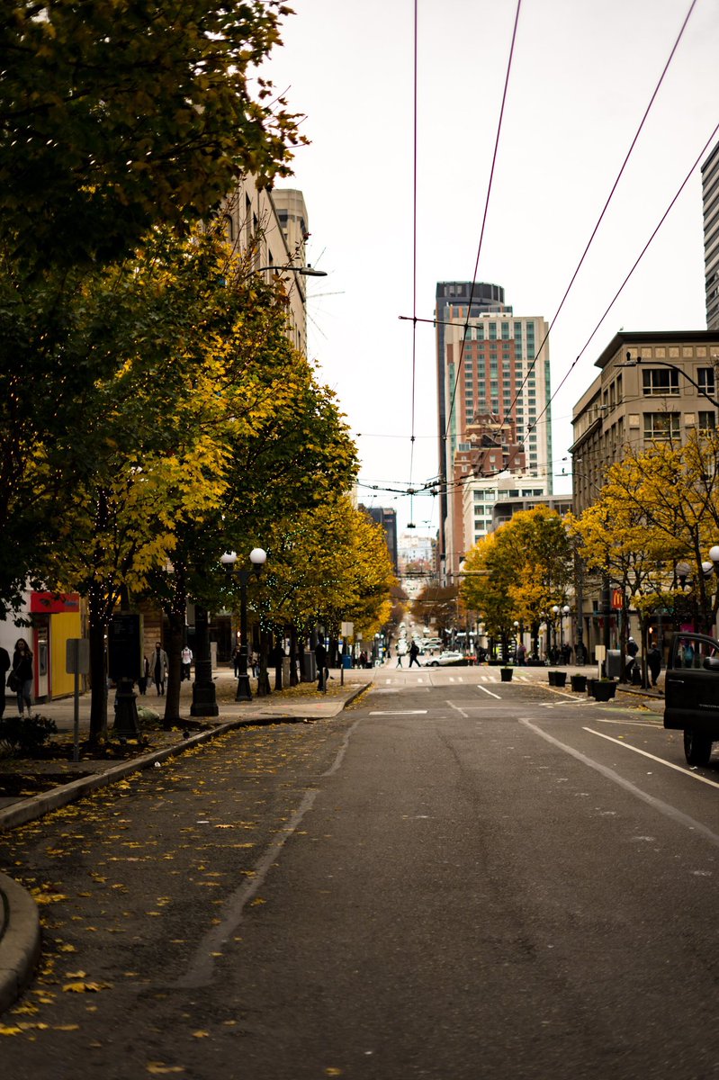 SPhotog77's tweet photo. Downtown Seattle ( obviously not from today) lol
.
.@CupcakeRoyale @simplyseattle @SeaCoffeeWorks https://t.co/abpjJBMMe5