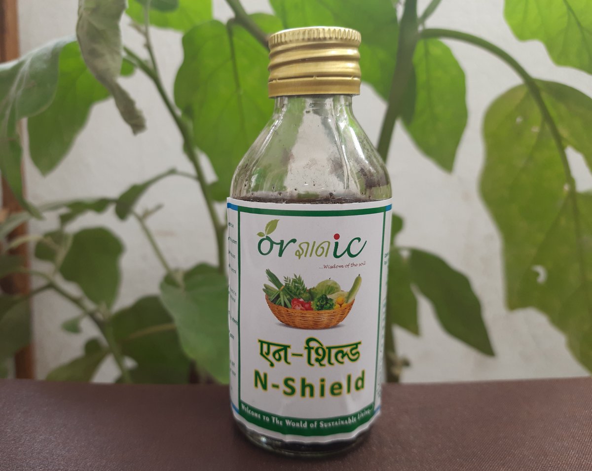 ordnyanic's tweet photo. 😎Herbal #insecticide Ordnyanic N-Shield shields your #plants against pests!
Why N-Shield?
👉Reduces #pest population
👉Supports plant's defense mechanism
👉Can be used in any crop cycle stage &amp; is compatible with most agrochemicals &amp; traditional practices
Order:📱 +91 7757066638 https://t.co/fUZZG1iwf5
