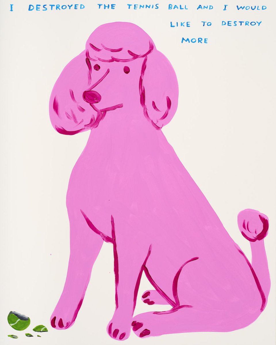 David Shrigley (@davidshrigley) on Twitter photo 