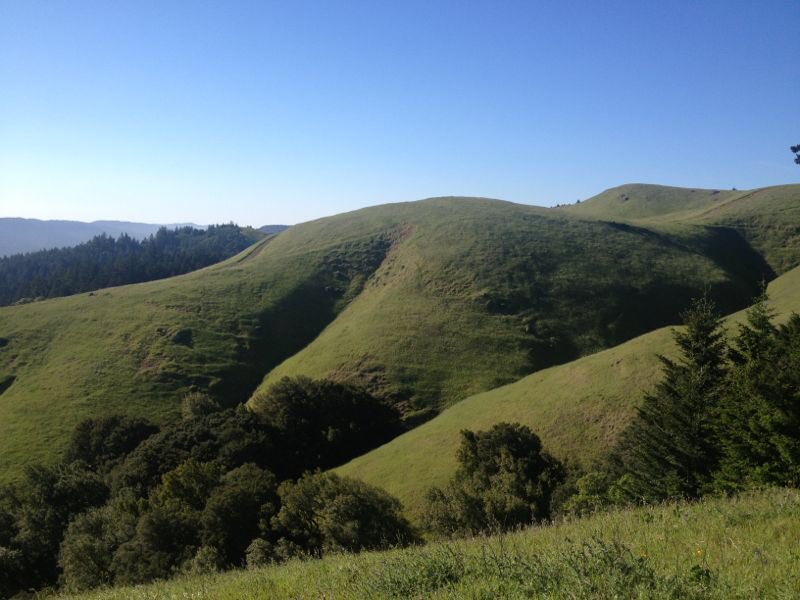 rayyabadran's tweet photo. Visiting Mt Tamalpais, Etel’s mountain, is the closest i’ll come to going on a pilgrimage. Thinking of Simone this morning, and her close friends and collaborators 🤍 https://t.co/HB3S5Vjo9w