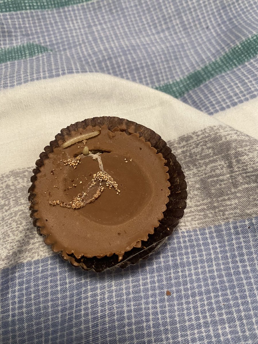 OurBoyAL's tweet photo. @reeses ummmm explain? https://t.co/1qHxEeGu4O