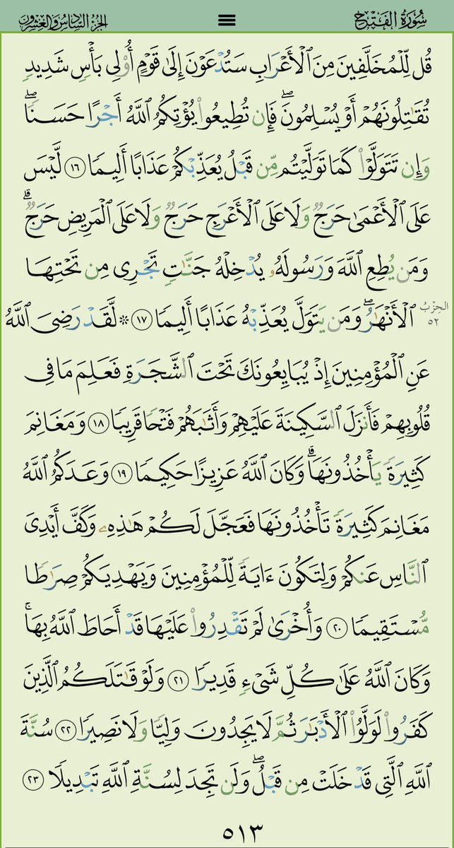 كل يوم صفحة tweet media