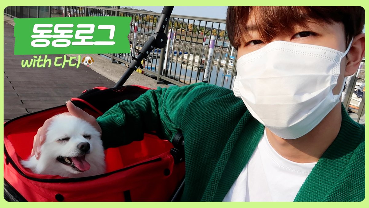 GoldenChild's tweet photo. [🎥] [동동로그] 동현이의 어느 멋진 날 With. 다디🐶

▶ https://t.co/NgKNoMT3qd
▶ https://t.co/AqgYIqZO93

#GoldenChild #골든차일드 #김동현 https://t.co/lsMj61qbdO