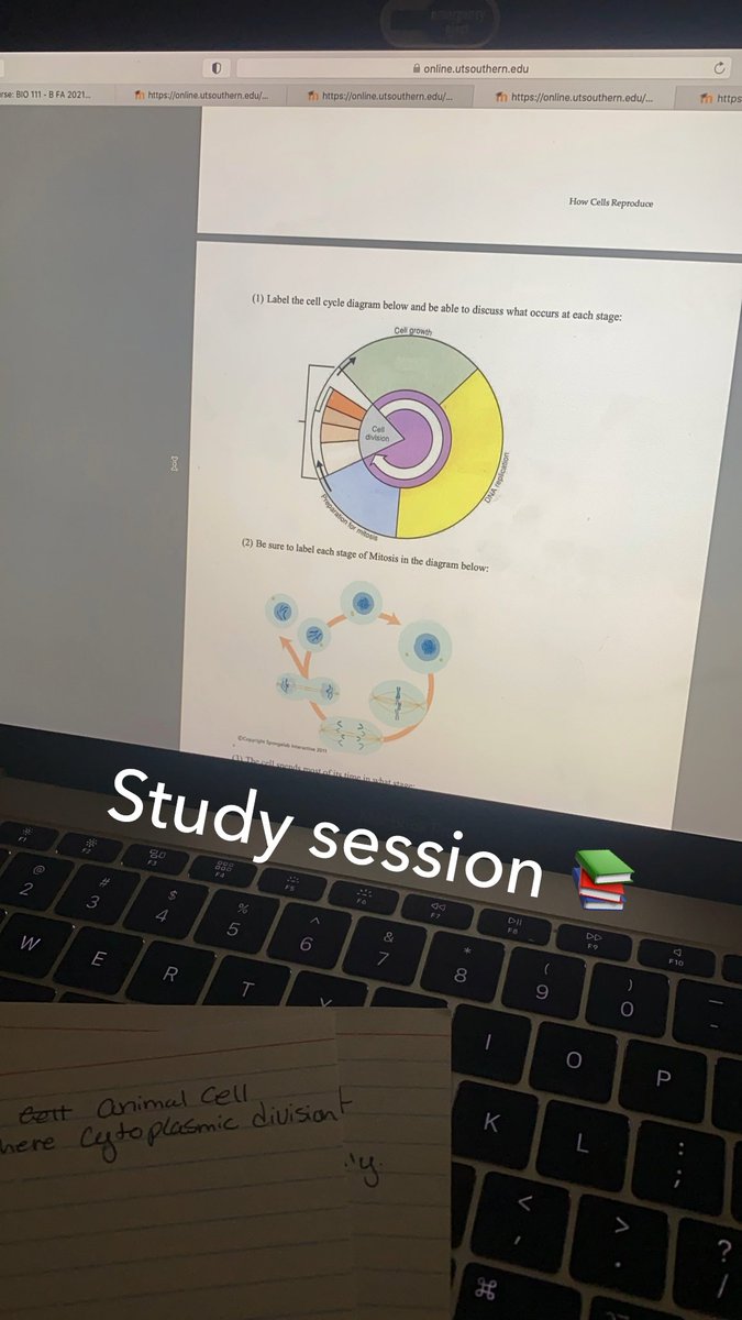 brittany__2017's tweet photo. @MMCBiology 
#extra #soclose https://t.co/VnGvqqfsVs