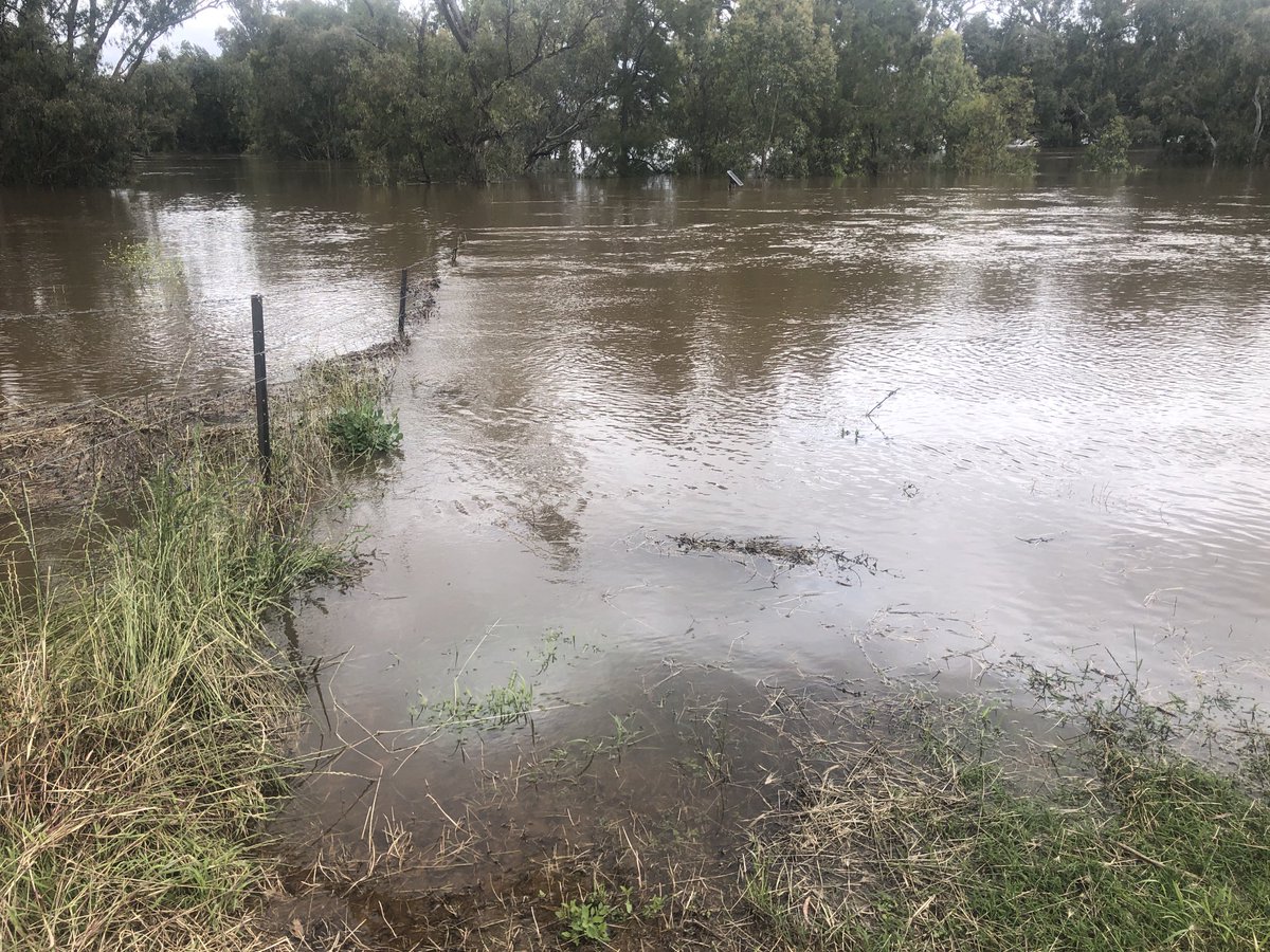 Tim Wright tweet media