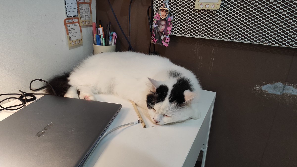 bintik_'s tweet photo. Bintik cosplay jadi abang yang suka tidur kalo lagi kuliah online https://t.co/G1WMipYa0K