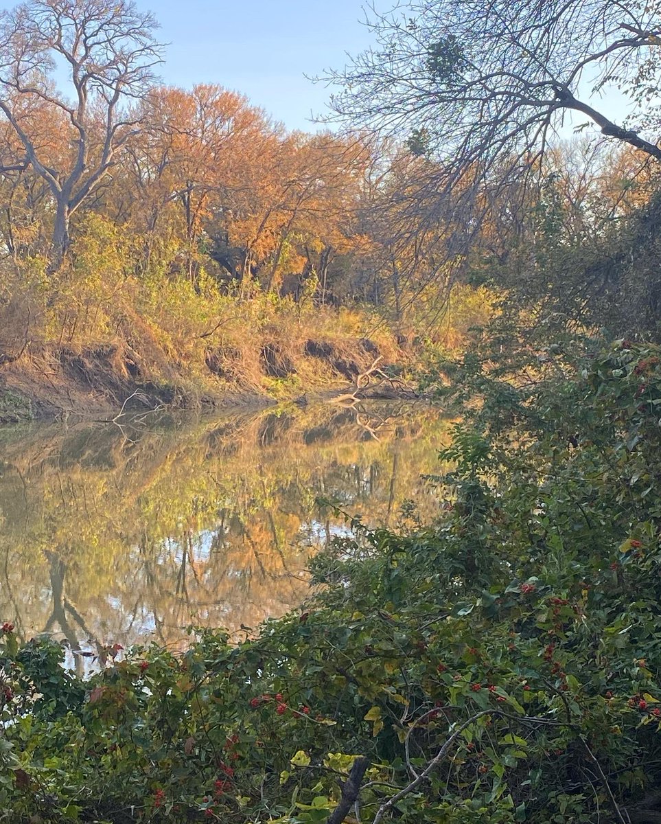 Despite its reputation as a fine place to dispose of a body or to dump an old refrigerator, the Elm Fork of the Trinity River on the Dallas-Irving line is actually rather pretty in autumn. #TexasFall #TrinityRiver